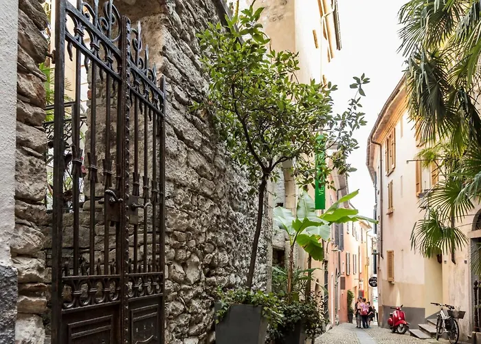 Junior Suite-8 By Interhome Apartment Ascona