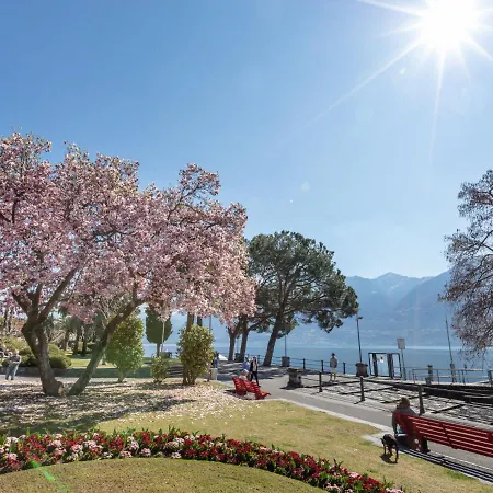 Junior Suite-8 By Interhome Ascona